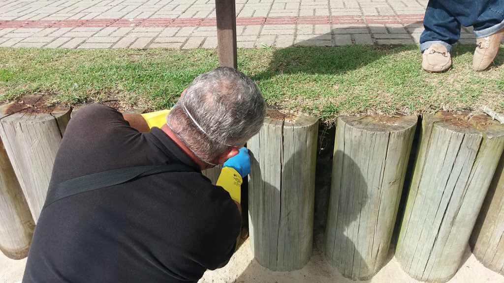 Saúde realiza ação para desratização da Orla