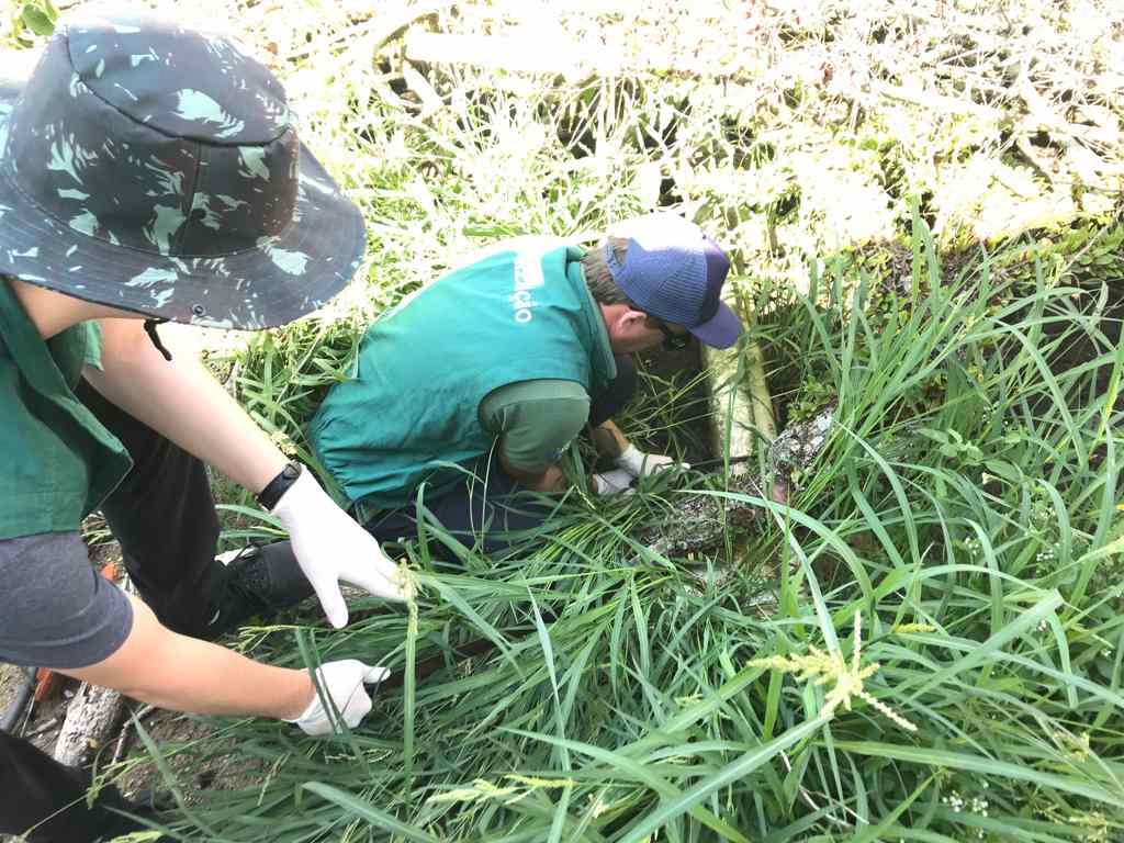 FAACI inicia lacre de despejos irregulares e intensifica notificações