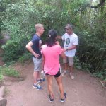 BOMBINHAS - Morro do Macaco recebe mais de 530 visitantes em um dia