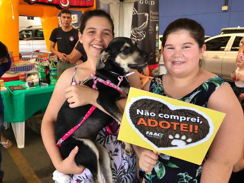 Mais de 20 animais são adotados na feira mensal de adoção da FAACI