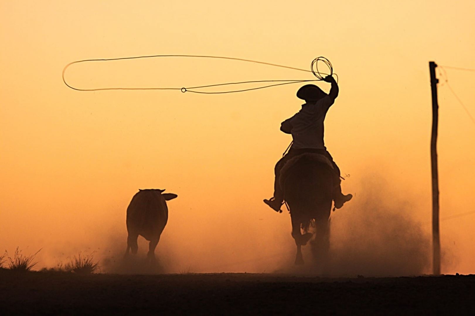 22º Rodeio Crioulo Nacional inicia nesta sexta-feira (12/04) em Itapema