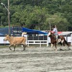 22º Rodeio Crioulo Nacional reúne competidores e grande público em Itapema