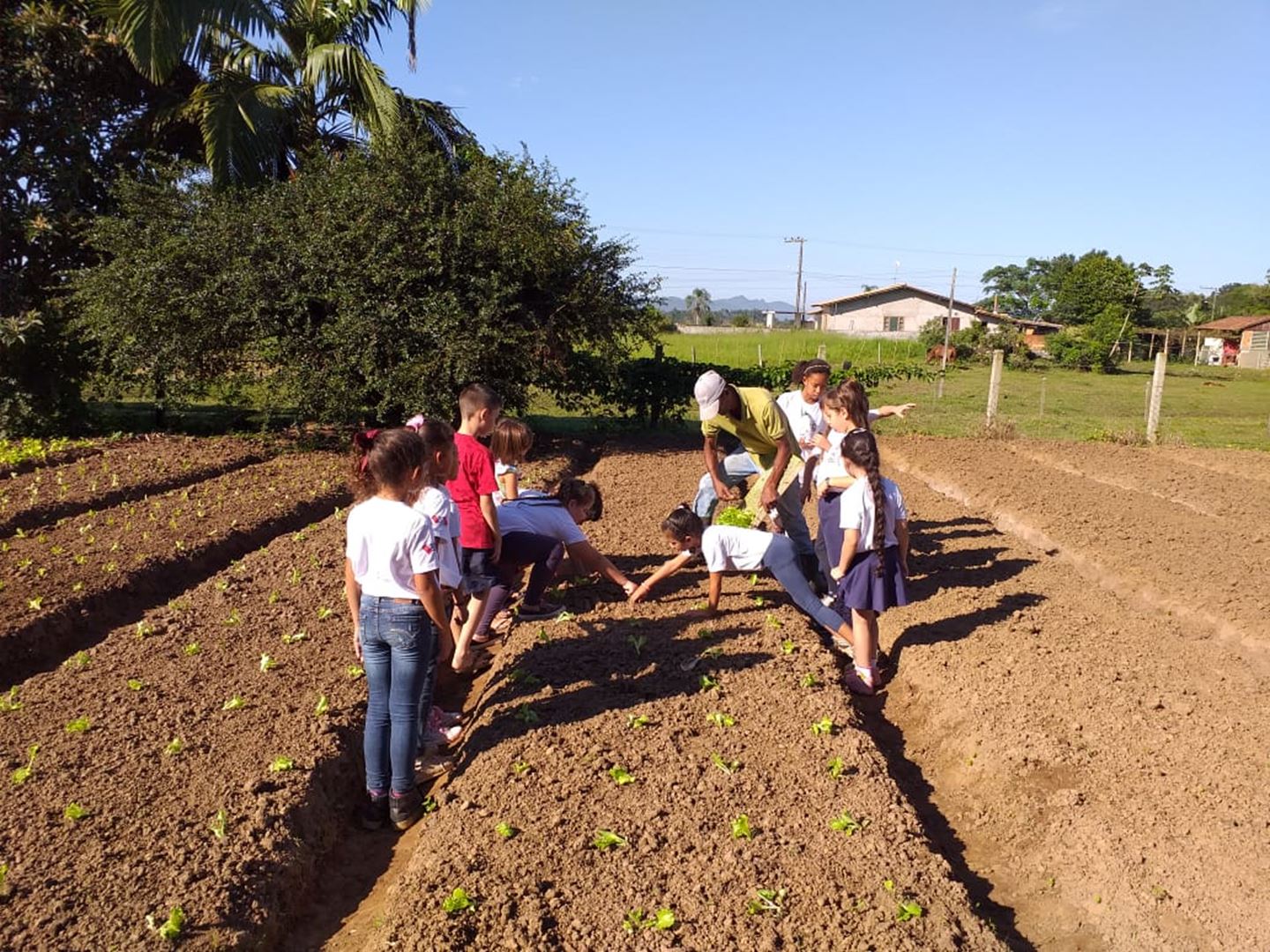 PORTO BELO - Alunos visitam Horto Municipal para incentivar alimentação saudável