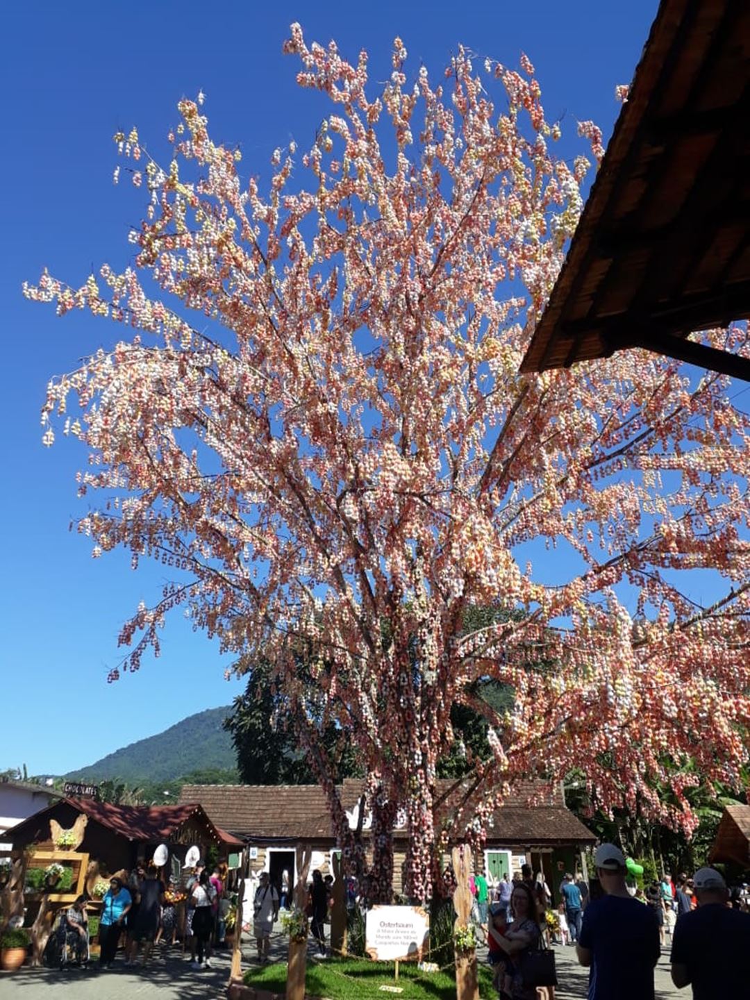 Usuários do CRAS visitam Osterfest em Pomerode