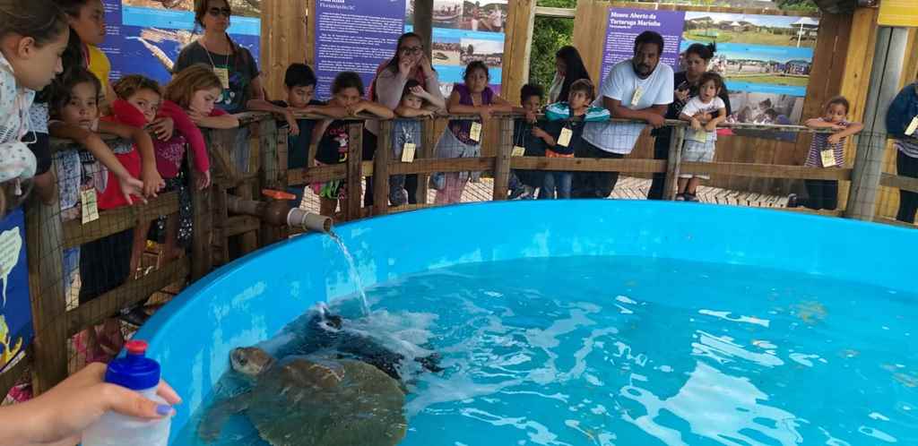 Usuários do CRAS visitam Parque Ecológico do Córrego Grande e a sede do Projeto Tamar em Florianópolis