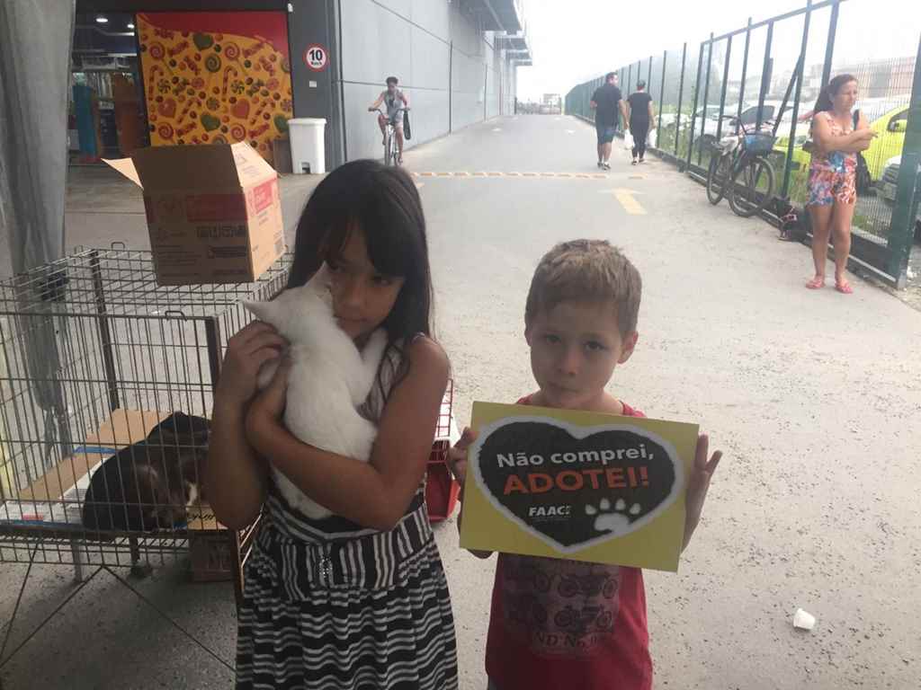 Feira da FAACI promove adoção de mais de 20 animais