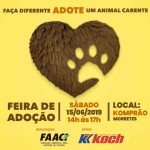 Feira mensal de adoção da FAACI será no dia 15 de Junho