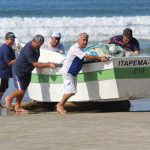 Pecadores mantêm pesca artesanal da tainha em Itapema