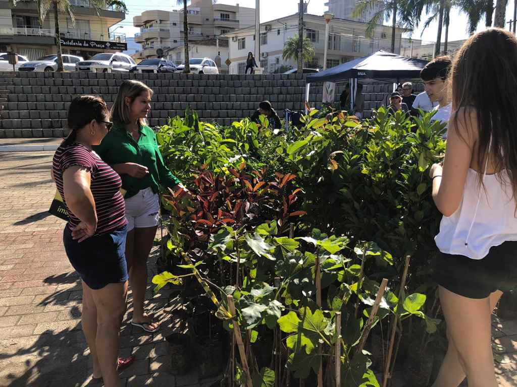 Semana do Meio Ambiente encerra com troca de livros por mudas