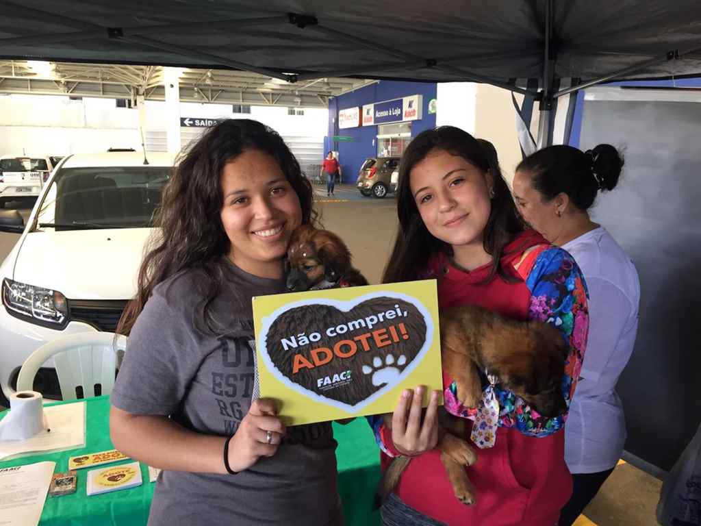 Feira da FAACI tem mais de 20 animais adotados