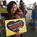 Feira da FAACI tem mais de 20 animais adotados