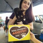 Mais de 10 animais foram adotados na feira da FAACI