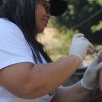 Sábado (24/08) será de vacinação contra sarampo e febre amarela nas UBS Morretes e Tabuleiro
