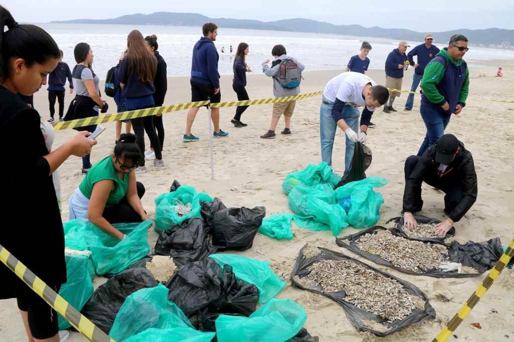 Dia Mundial de Limpeza é marcado por recolhimento de lixo na praia