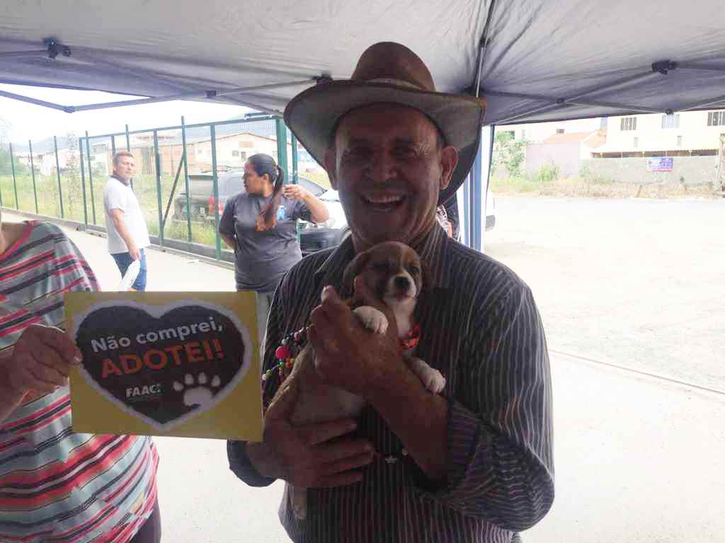 Feira da FAACI garante adoção de 17 cachorros