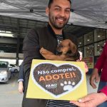 Feira da FAACI garante adoção de 17 cachorros