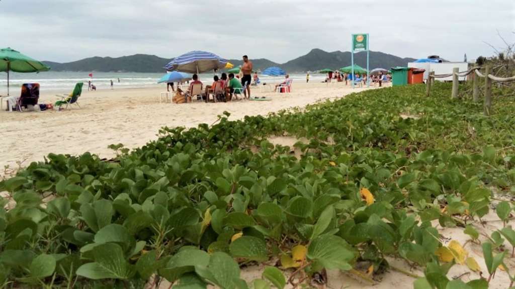 BOMBINHAS - Praia de Mariscal recebe atividade de Educação Ambiental