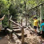 BOMBINHAS - Voluntários iniciam atividades no Morro do Macaco