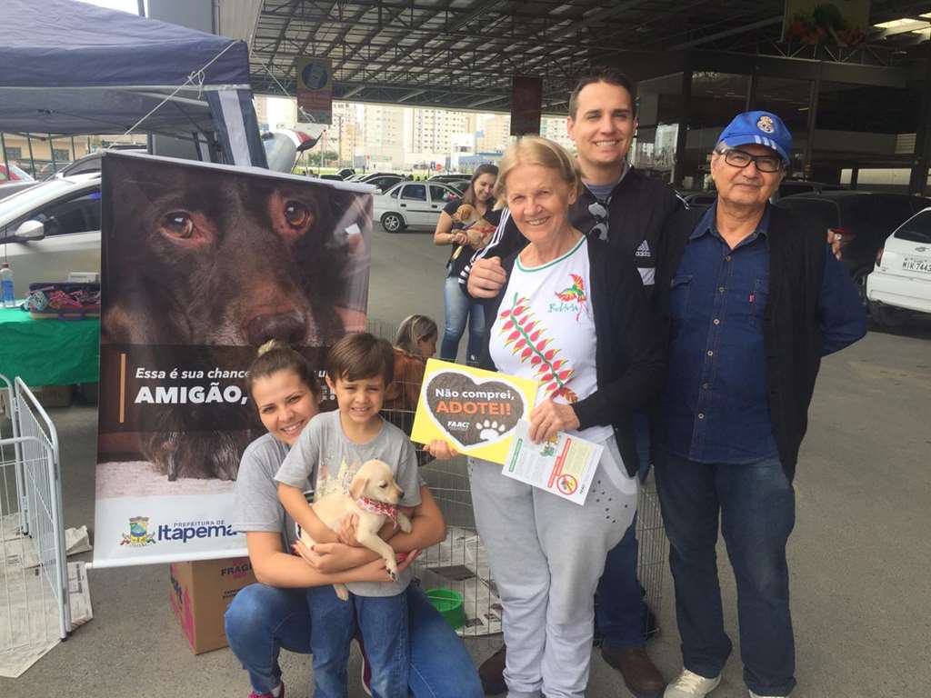 Feira mensal de adoção da FAACI é neste sábado (01/02)