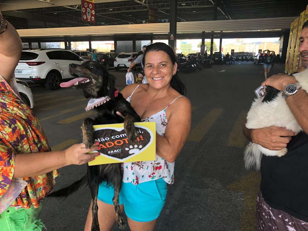Feira da FAACI tem mais de 10 animais adotados
