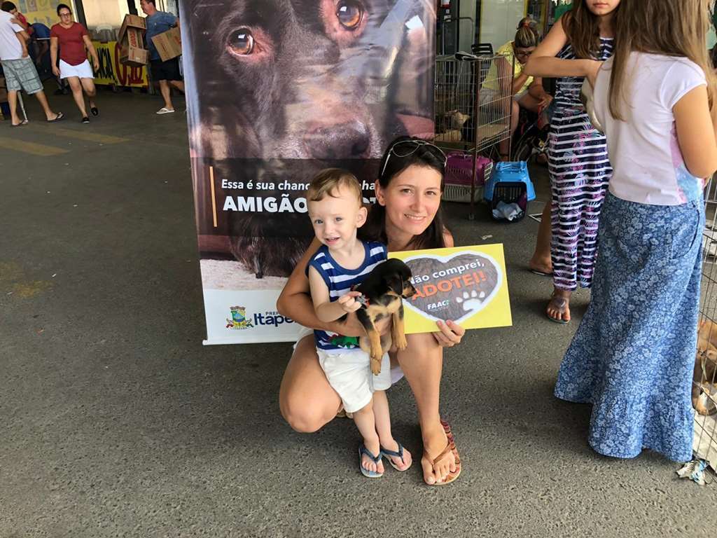Feira de adoção da FAACI acontece neste sábado (14/03)