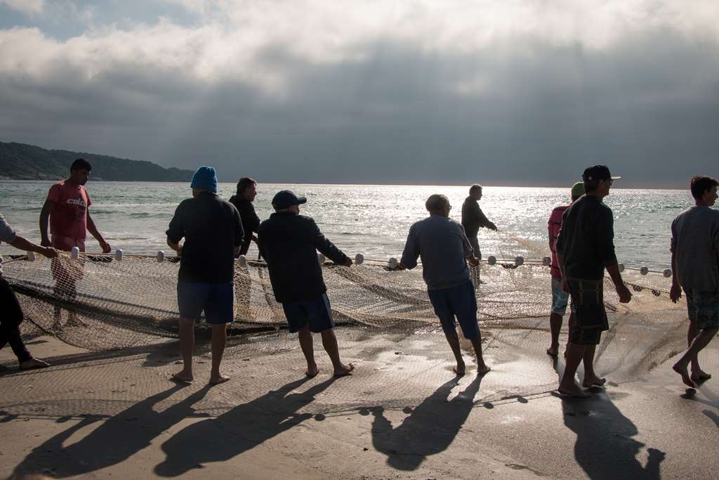 Expectativa é que o número ultrapasse as 86 toneladas pescadas em 2019 Créditos: Maycon Rodrigues