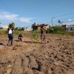 PORTO BELO - PRAD do Rio Perequezinho recebe árvores nativas para recuperação da área