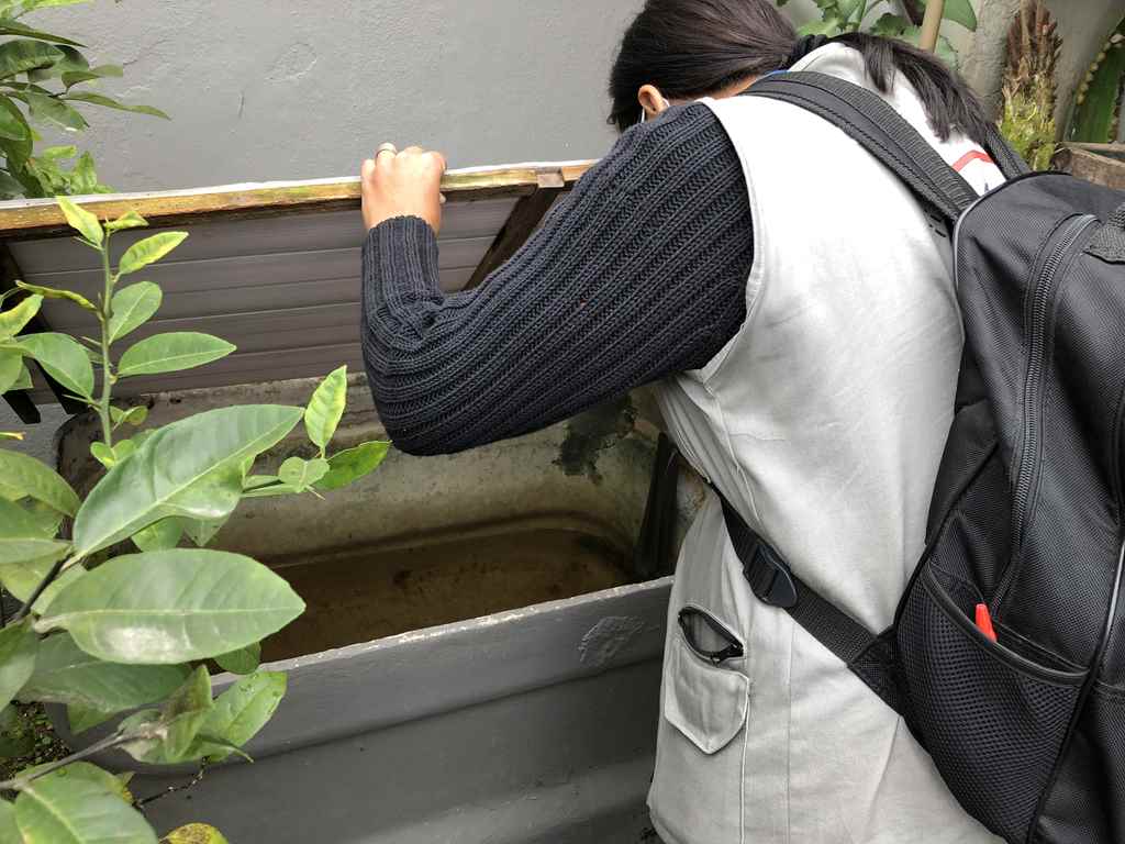 Combate a Dengue segue intensificado em Itapema