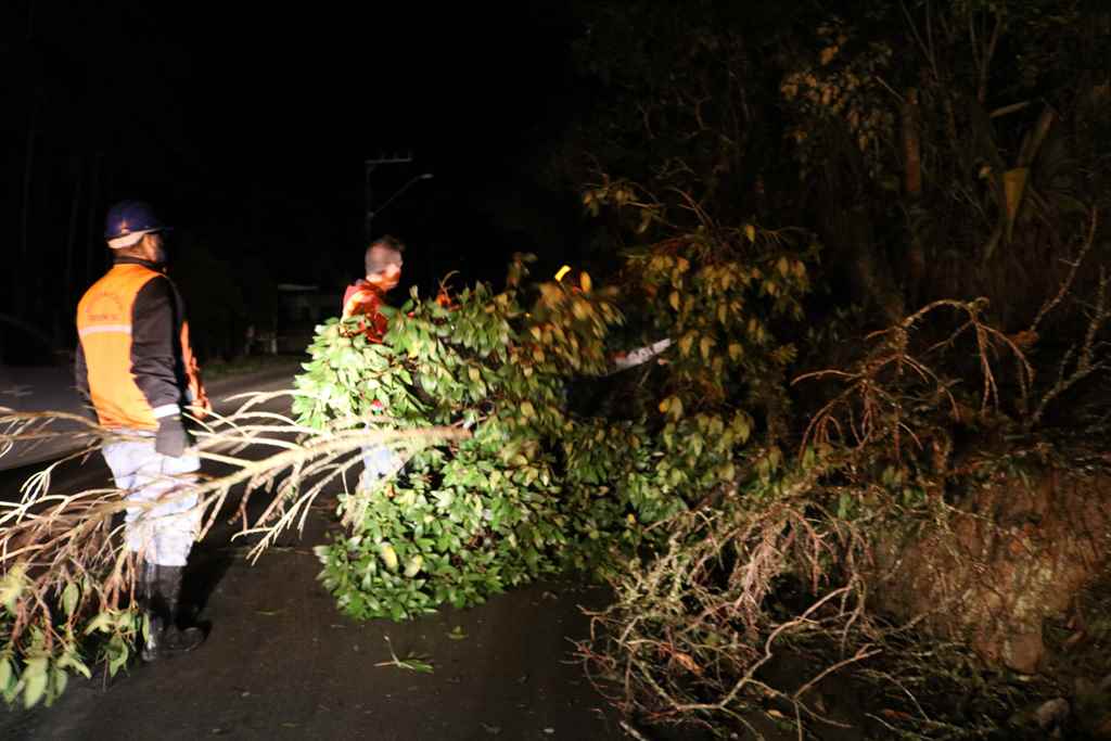 Força-tarefa atua para diminuir danos causados pela tempestade