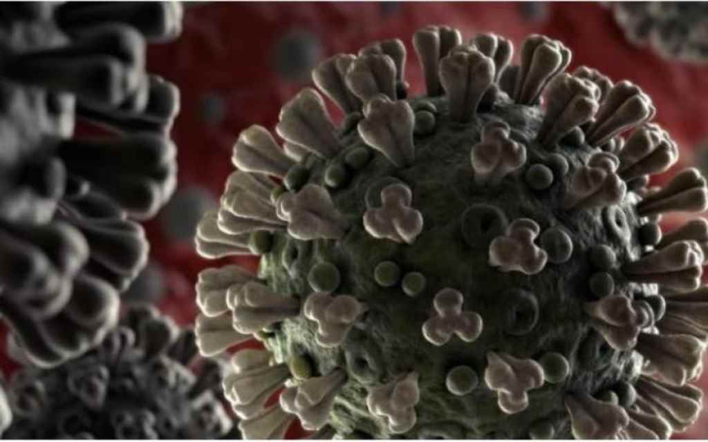 Coronavírus (Foto: Reprodução, Ministério da Saúde)