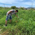 Iniciado mutirão contra a Dengue nos bairros Meia Praia e Morretes