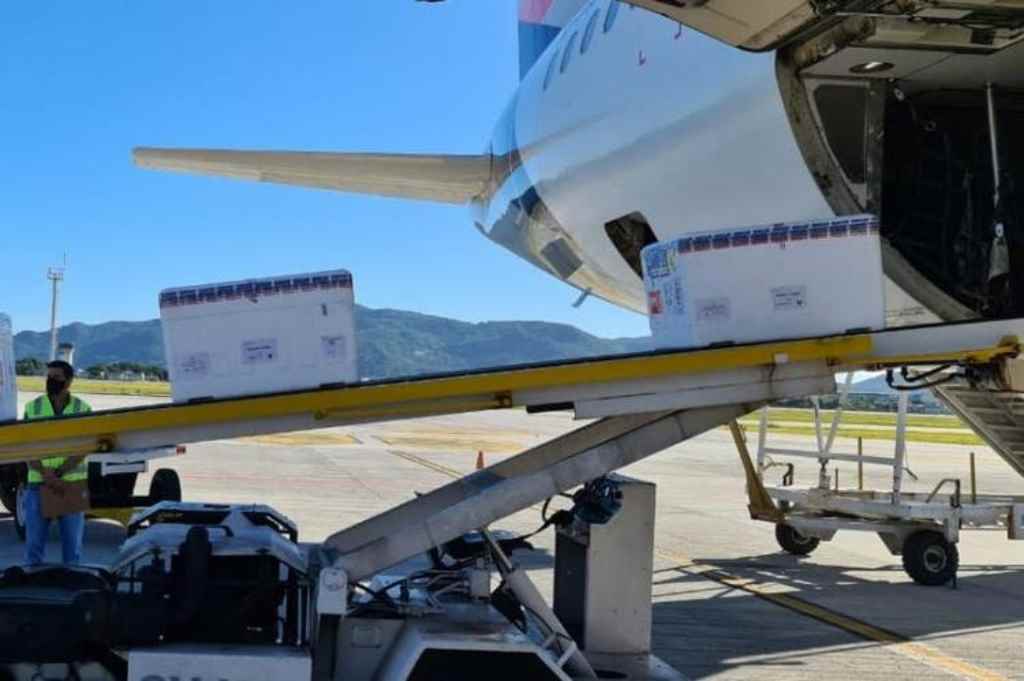 Nova remessa da Coronavac chegou por volta das 8h20 em Florianópolis(Foto: Divulgação / Ministério da Saúde)