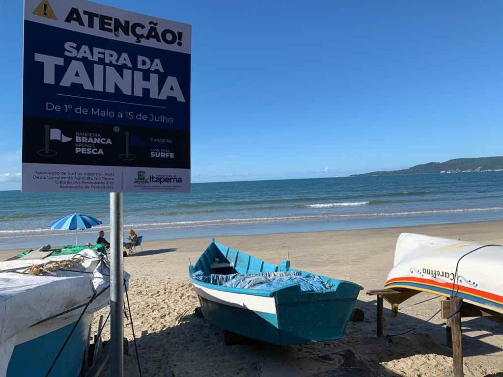 Período oficial da Pesca da Tainha inicia neste final de semana