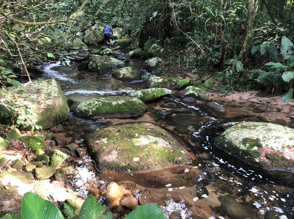 Saúde inicia aplicação de larvicidas contra borrachudos