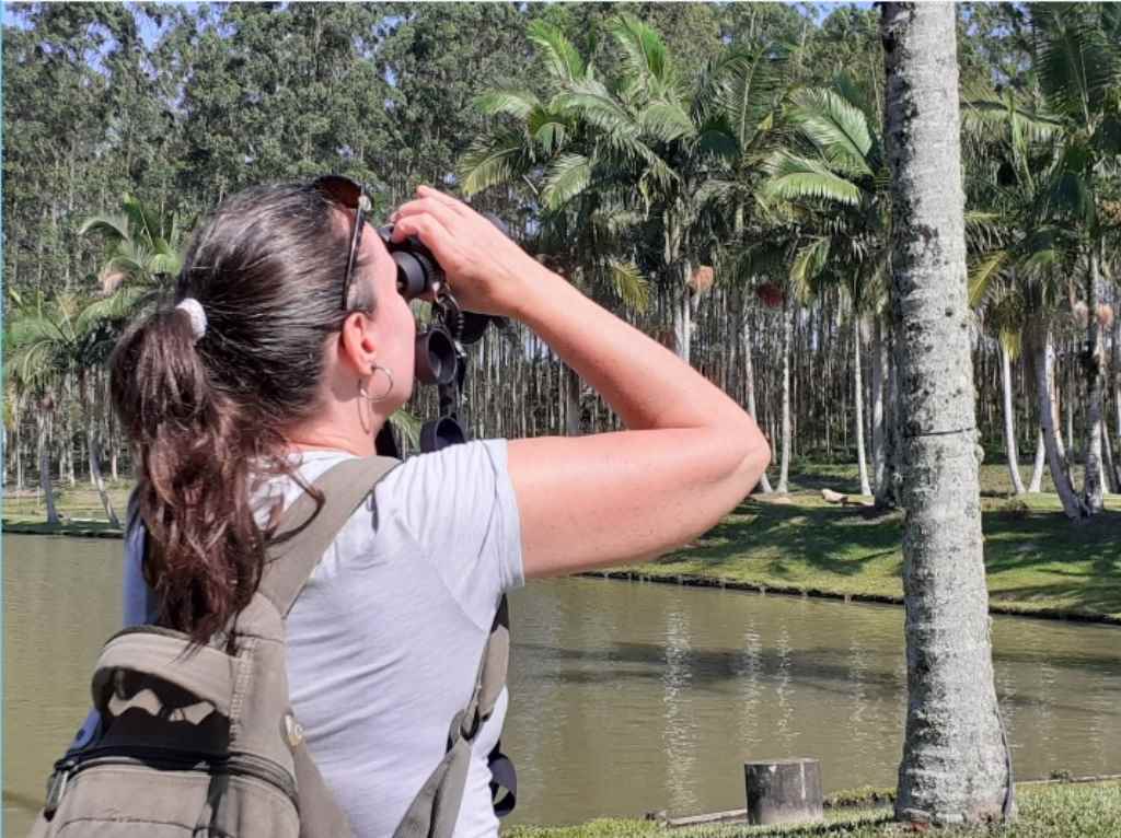 Curso de Observação de Aves da Costa Verde Mar Créditos: Clovis da Luz