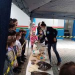 PORTO BELO - Alunos de Porto Belo aprendem sobre a interferência humana no mar através de exposição