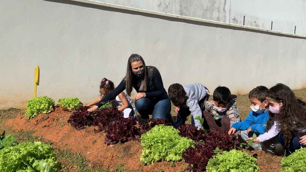 Projeto Horta incentiva alimentação saudável no CMEI Benta Pereira Florêncio