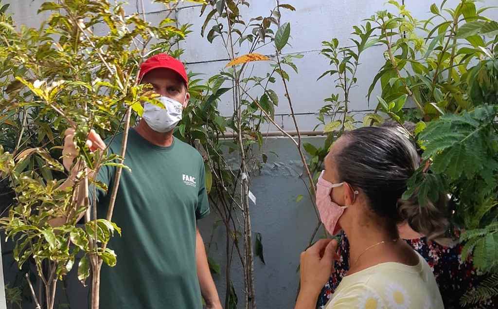 FAACI vai realizar troca de mudas por livros no sábado (05/06)
