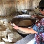 Tradição do engenho de farinha de mandioca é mantida em Itapema
