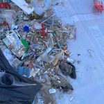 Ação do Dia de Limpeza dos Mares coleta mais de 30 quilos de resíduos
