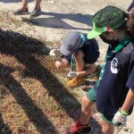 Ação do Dia de Limpeza dos Mares coleta mais de 30 quilos de resíduos