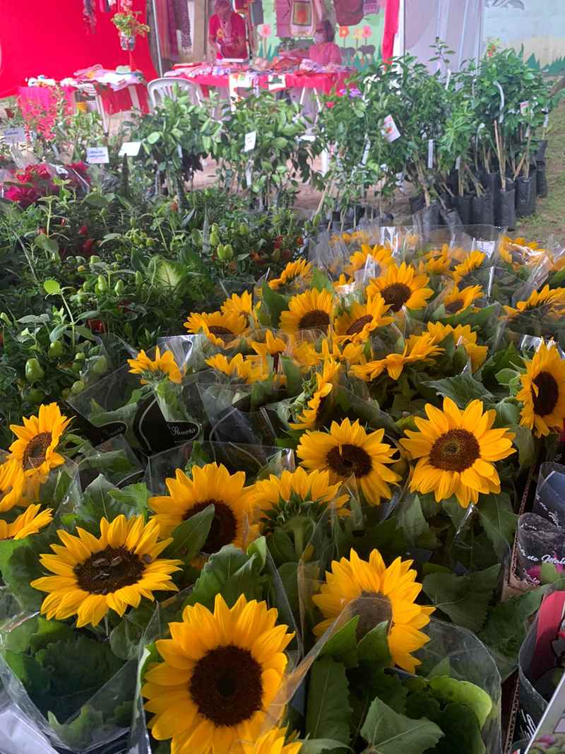 Espaço Cultural recebe Expoflor 2021