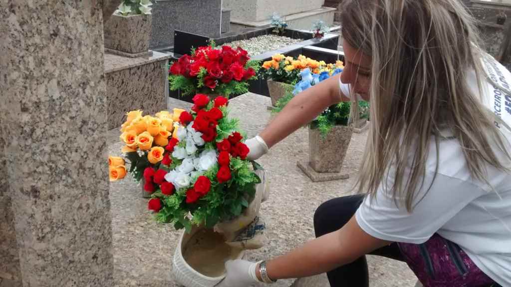 Saúde alerta sobre a prevenção ao mosquito da dengue nos cemitérios