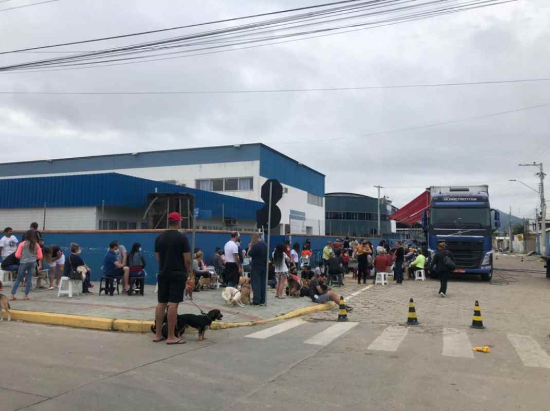 Novo mutirão de castração da FAACI contempla 250 animais