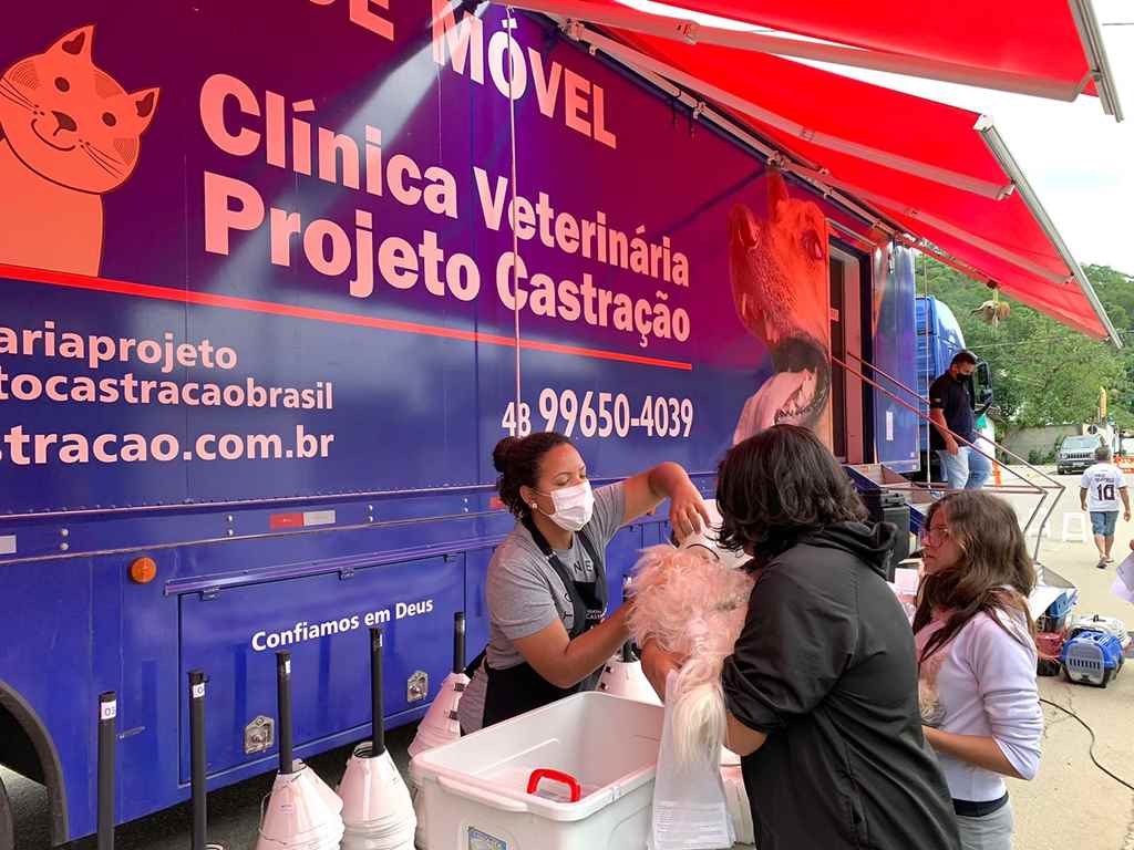 Mutirão de castração contempla 150 animais em Itapema