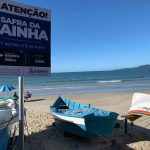 Período oficial da Pesca da Tainha inicia neste final de semana