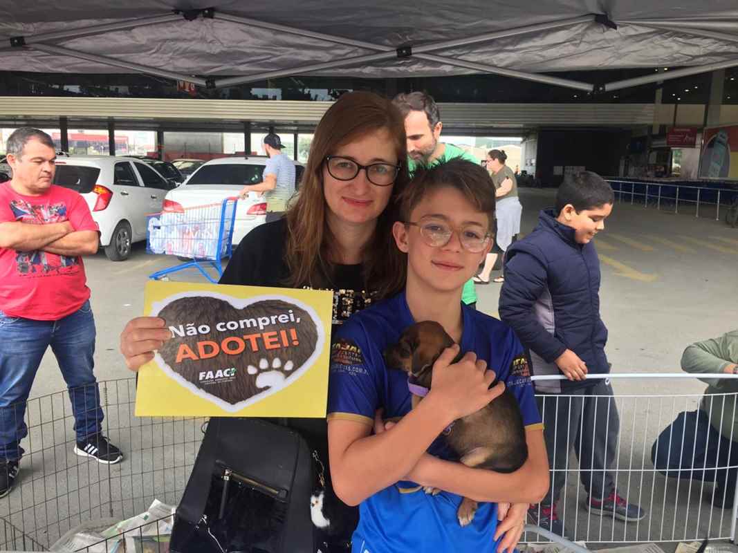 FAACI realiza feira de adoção neste sábado (21/05)