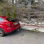 Vaso gigante tombou e derrubou árvore sobre carro estacionado - Gustavo Landal/ND