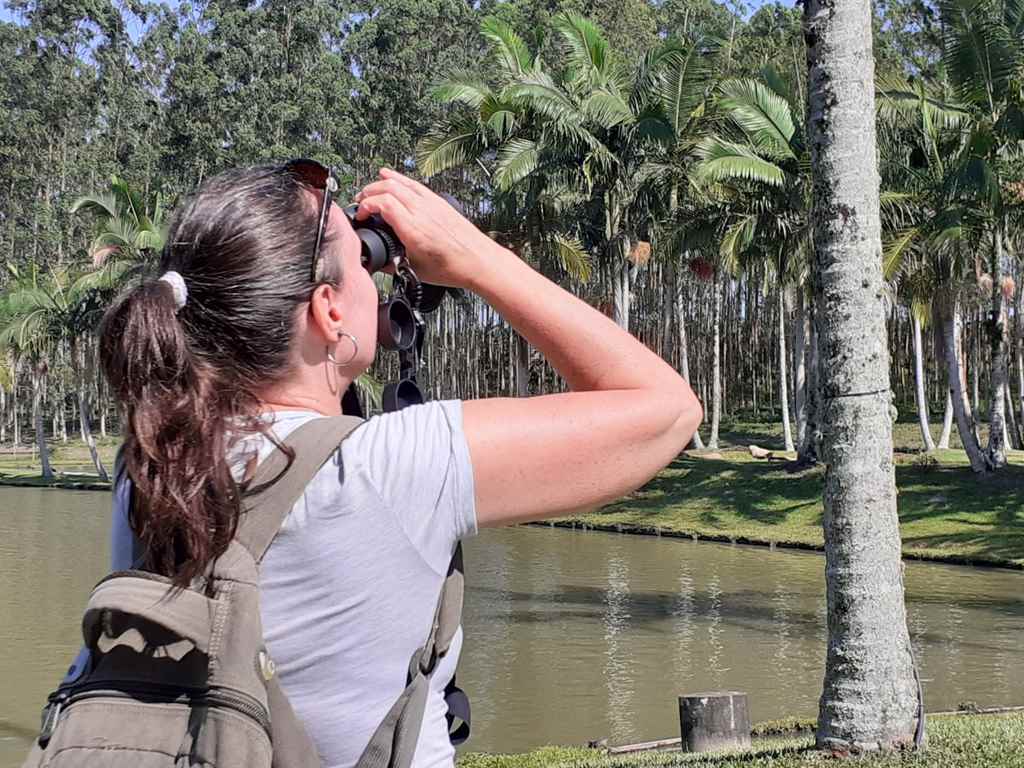 Curso de Observação de Aves da Costa Verde & Mar - Foto: Clóvis da Luz