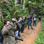 Observa SC reúne praticantes da observação de aves em Itapema